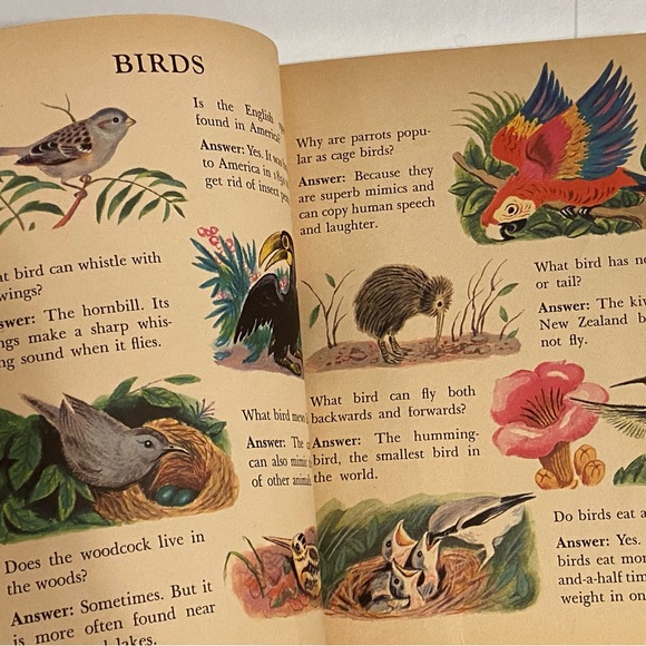 Vintage Little Golden Book Quiz Fun 50s Hundreds of Questions and Answers - Picture 6 of 12